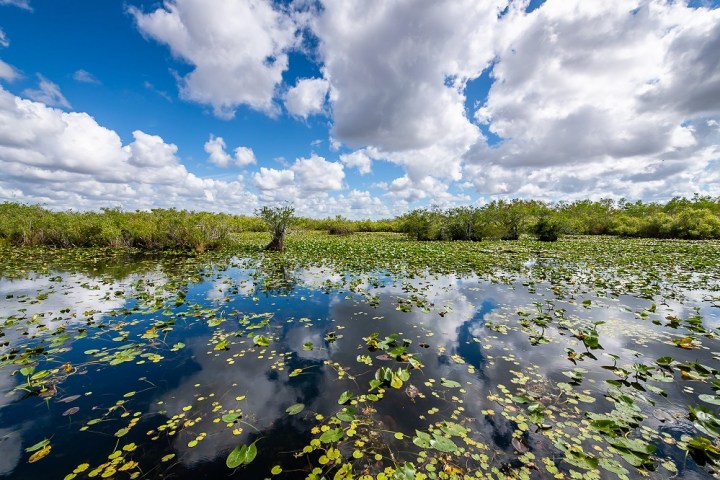 Miami Everglades Tour