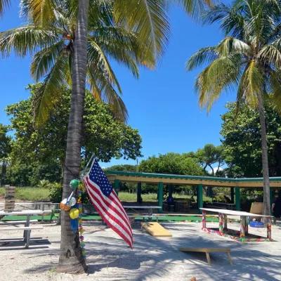 a group of people on a beach with a palm tree