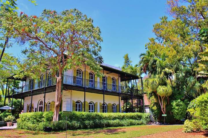 a tree in front of a building
